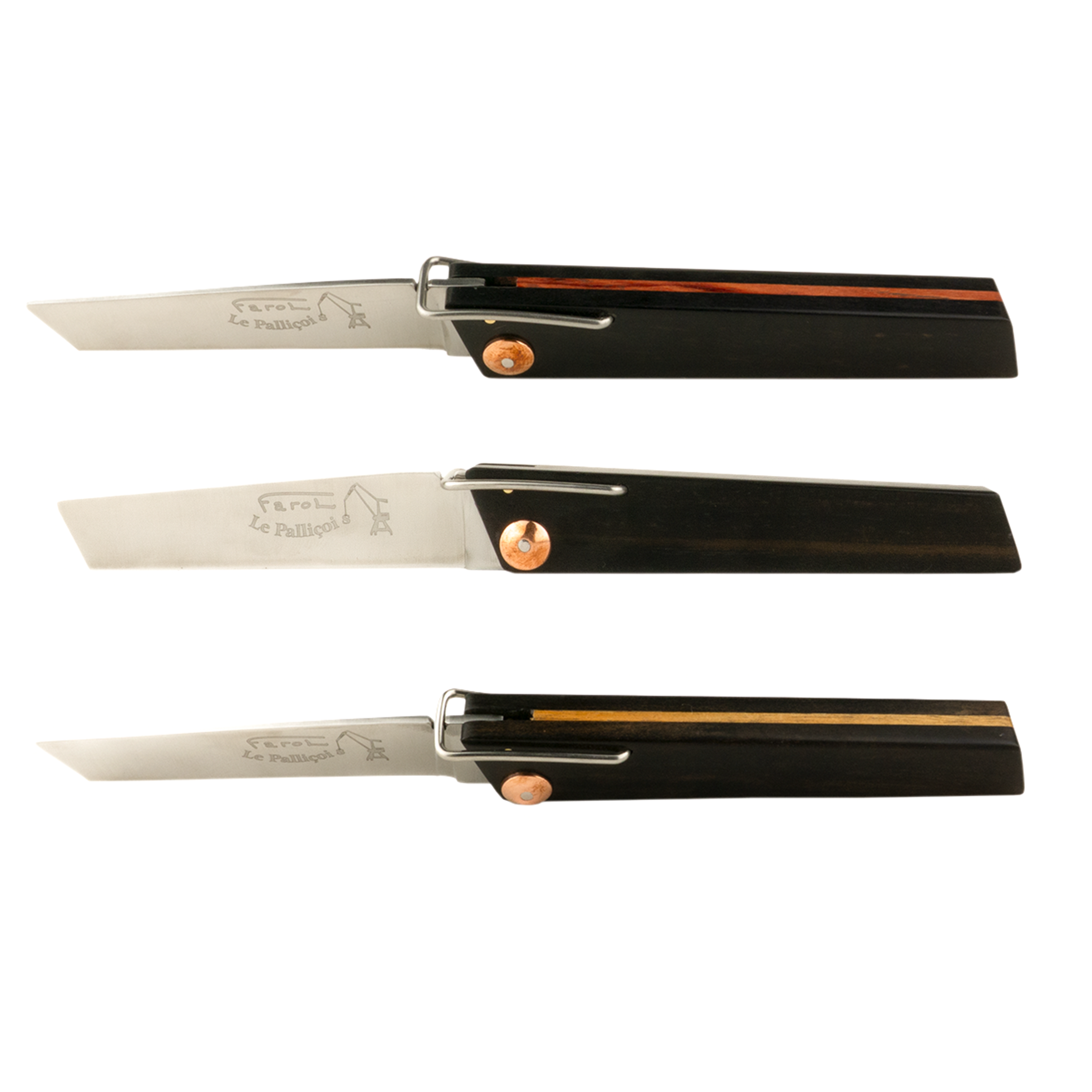 Nouveaux Palliçois pour les fêtes