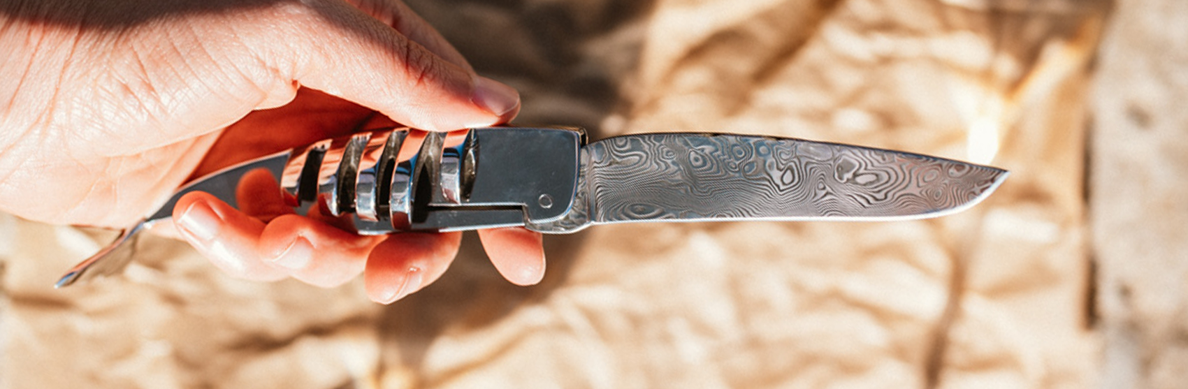 Le Cachalot Squelette