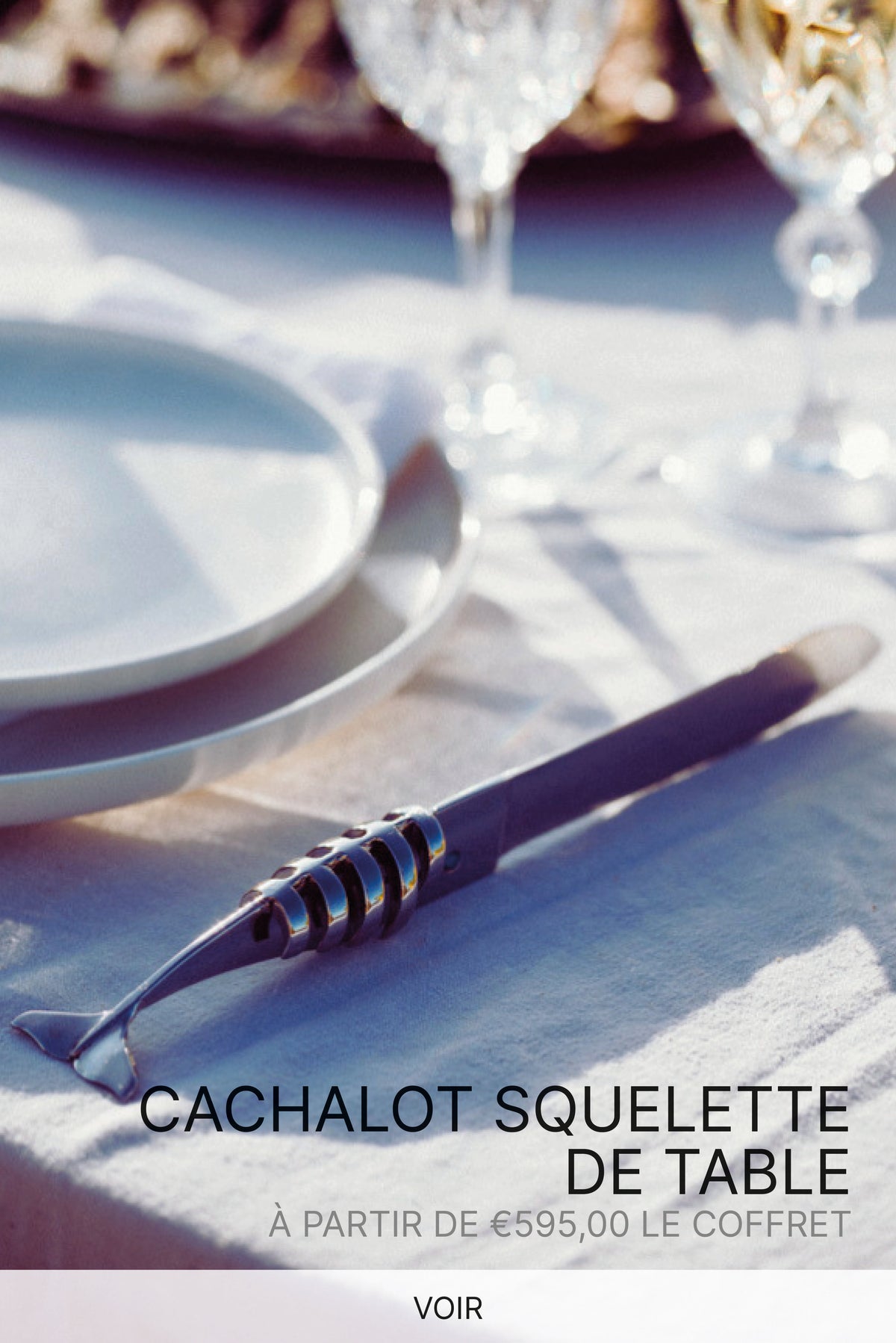 Cachalot Squelette de table - Farol - La Rochelle